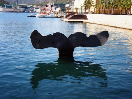 Cola de ballena instalada en el puerto