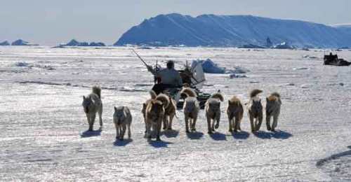 artico- trineo-perros-inuit